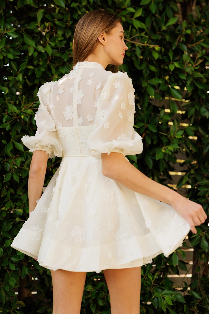 Floral Embellished Sheer Mini Dress