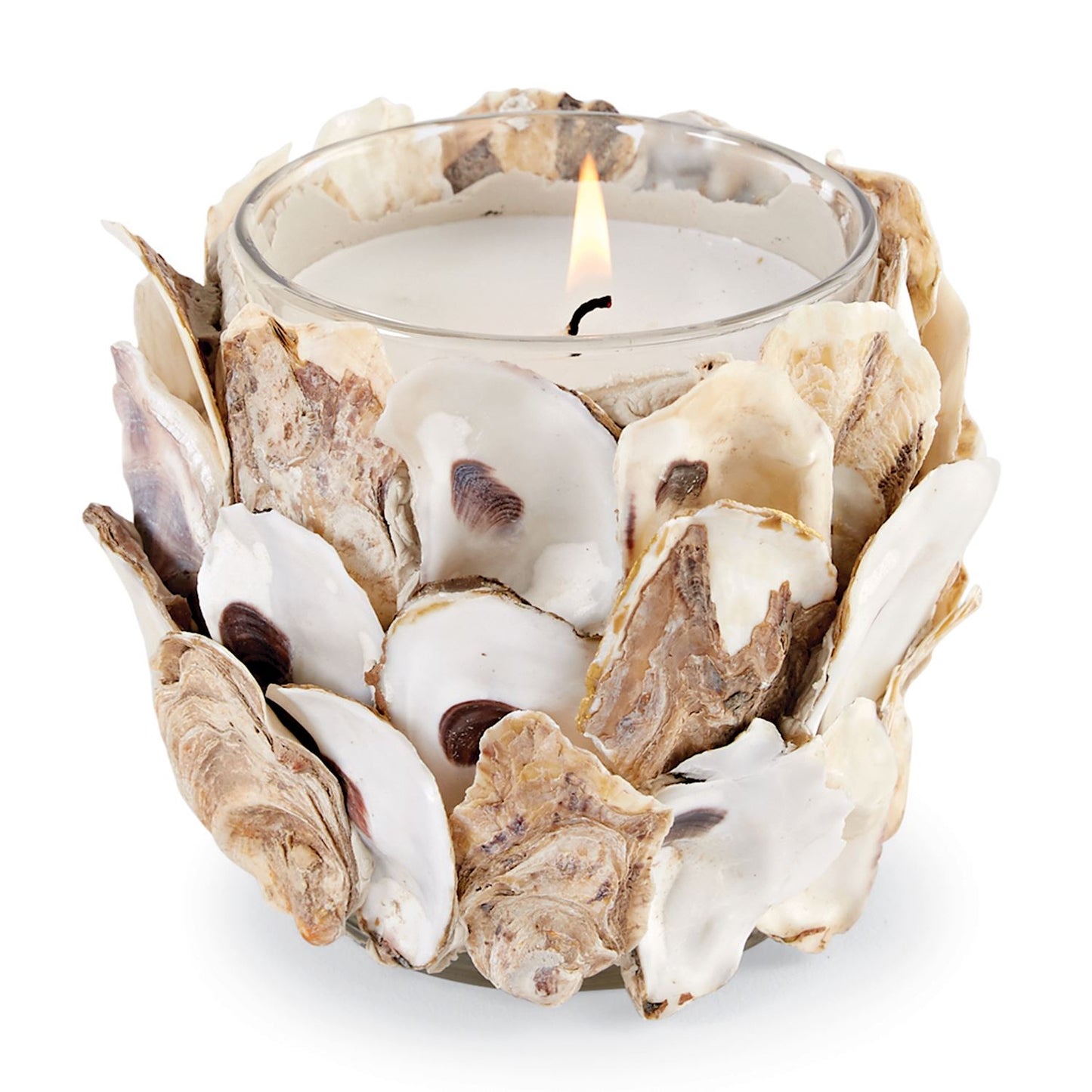 Oyster Shell Votive Holder