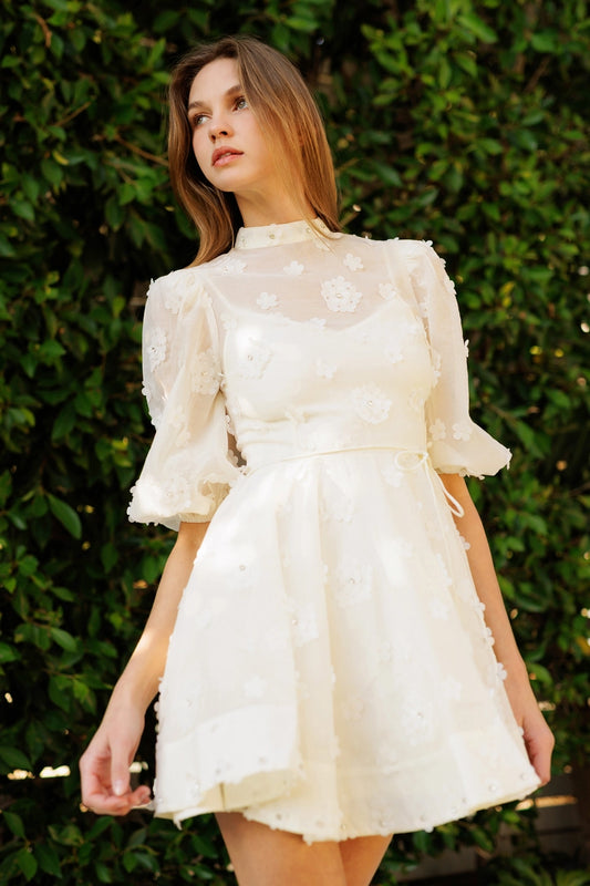 Floral Embellished Sheer Mini Dress