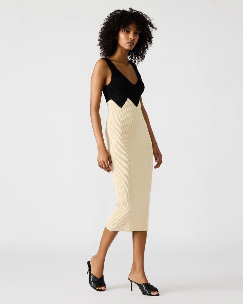 Prunella Dress Black Multi