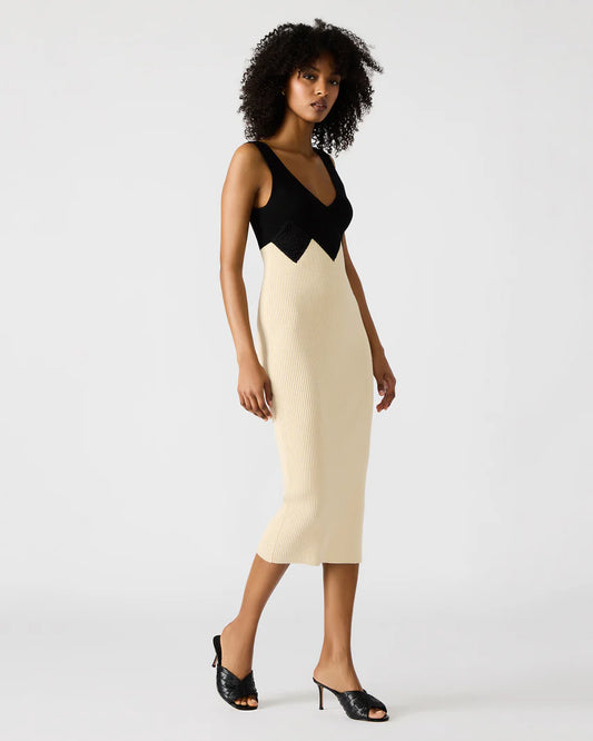 Prunella Dress Black Multi