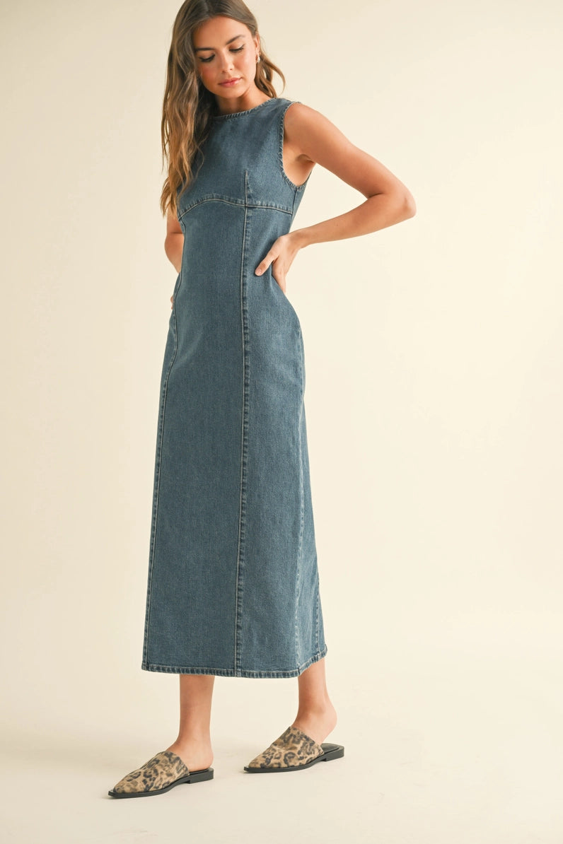 Straight Body Denim Dress