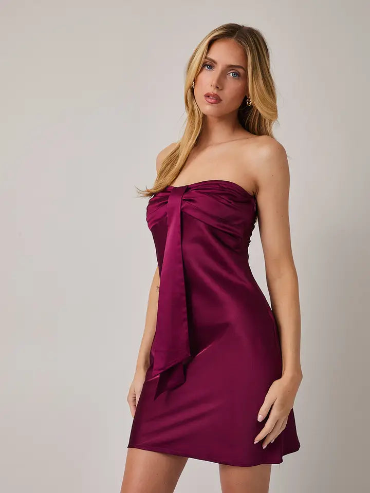 Tie Front Satin Tube Mini Dress