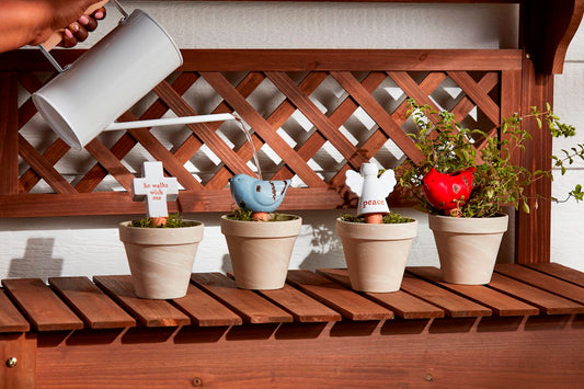 Garden Watering Stakes