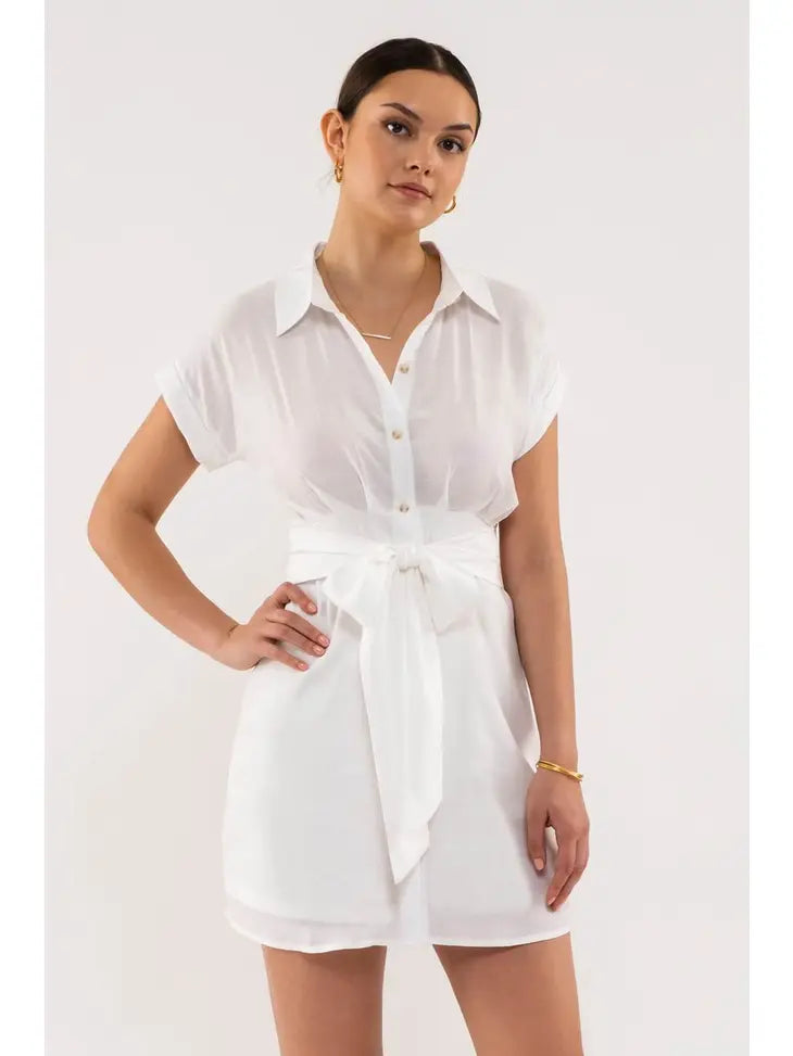 Waist Tie Button Down Mini Dress