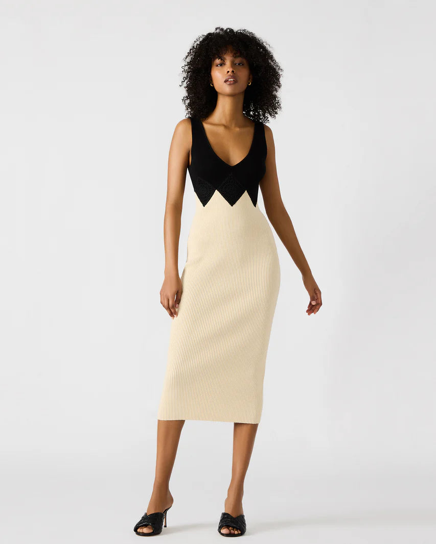 Prunella Dress Black Multi