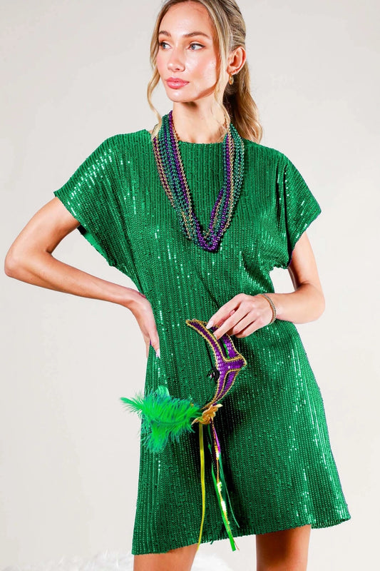 Round Neck Embroidered Sequin Mini Dress