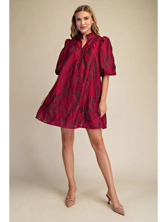 Ruffled Neck Volume Sleeve Dress