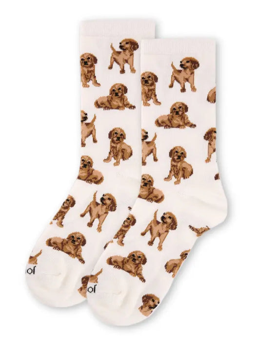 Golden Retriever Socks