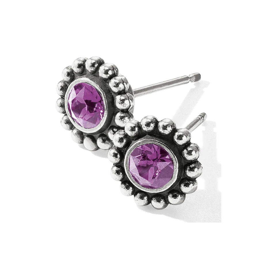 Twinkle Mini Post Earrings