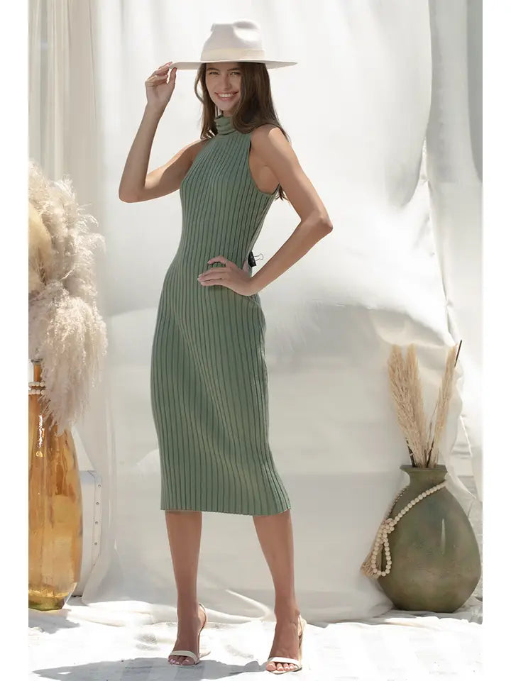 Turtle Neck Knit Midi Dress
