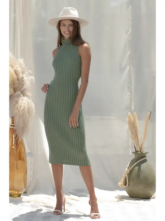 Turtle Neck Knit Midi Dress